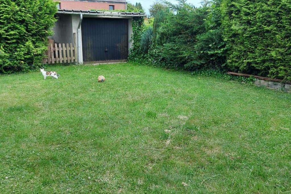 Nazareth Logement Un Magnifique Logement De Vacances Bastogne Exteriör bild