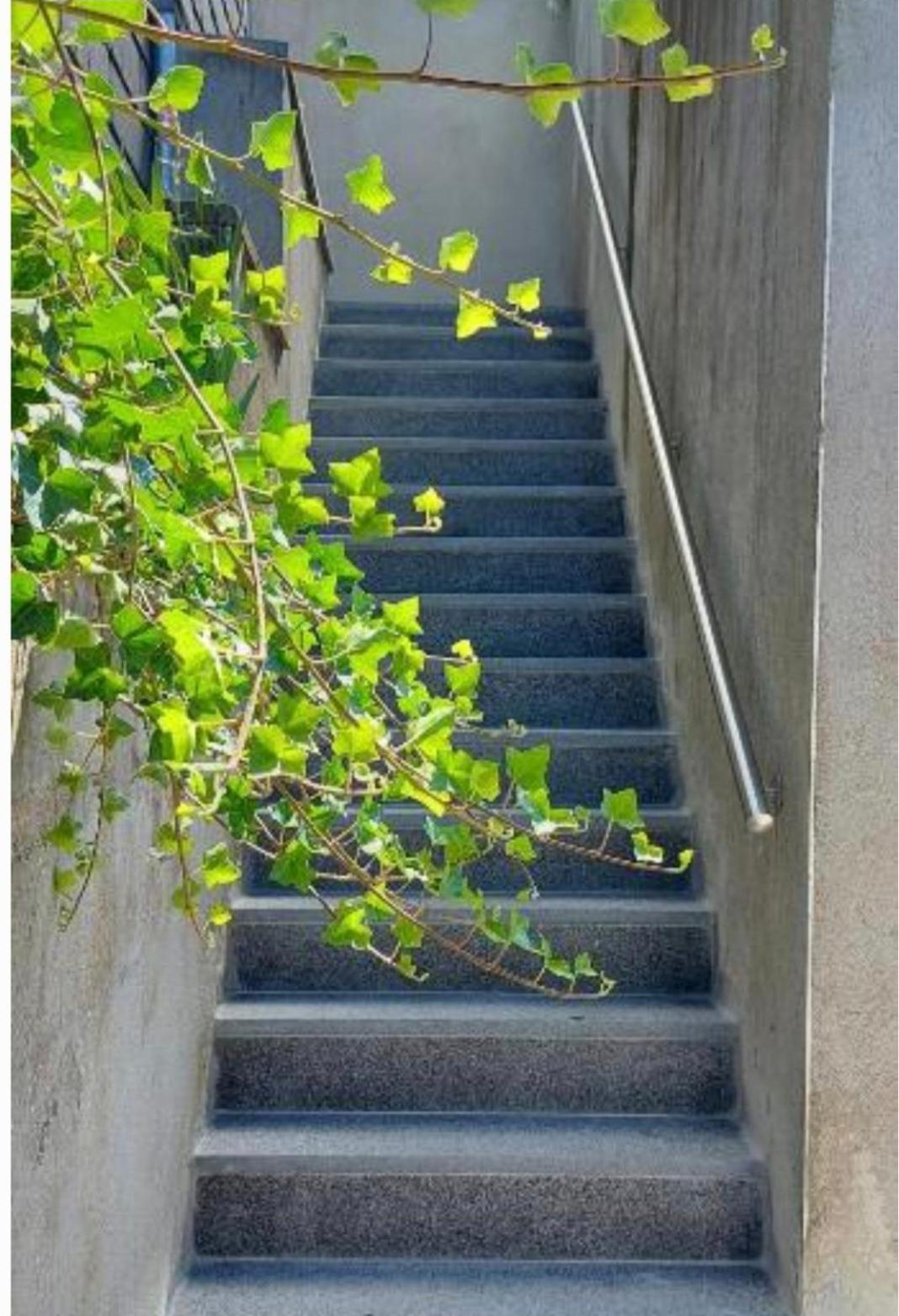 Nazareth Logement Un Magnifique Logement De Vacances Bastogne Exteriör bild